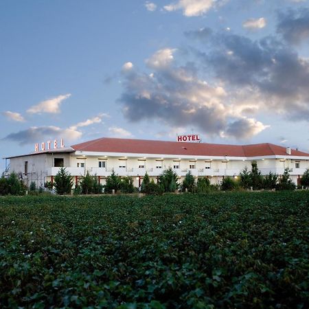 Kornilios Istron Hotel Janicá Kültér fotó